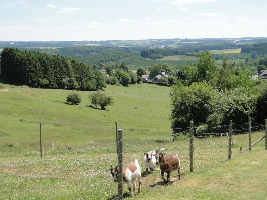 Holiday Home A Pas De Loup La-Roche-en-Ardenne Δωμάτιο φωτογραφία
