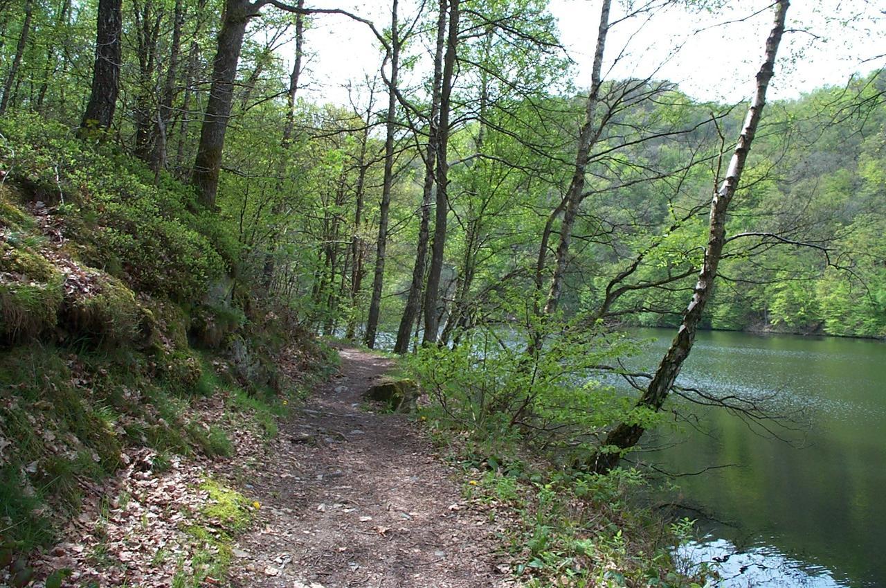 Holiday Home A Pas De Loup La-Roche-en-Ardenne Εξωτερικό φωτογραφία